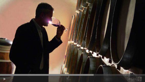 APP Castello Umberto video