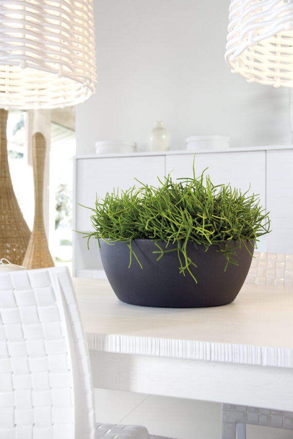 Fotografia prodotto ambientata