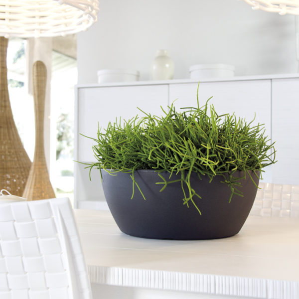 Fotografia prodotto ambientata