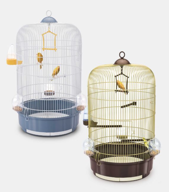 Fotografia Still Life